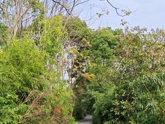 -新江湾城公园