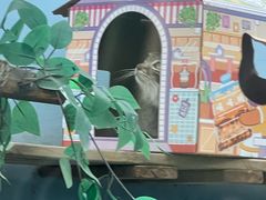 -青藏高原野生动物园