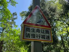 -天目山大树王景区
