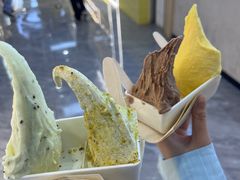 -野人先生现做冰淇淋(西安赛格店)