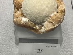 -湖南省地质博物馆