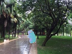 -云南民族村