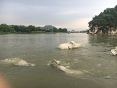 -桂林两江四湖景区