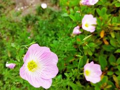 -上海滴水湖皇冠假日酒店