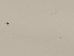 -晨枫酒店(苏州观前步行街店)