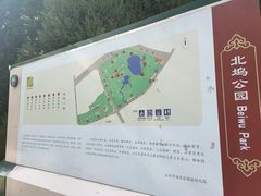 -北坞公园