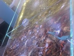 -聚盛源蒸汽海鲜火锅烤肉自助(巨川金海岸购物广场店)