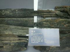 -西安大唐西市博物馆