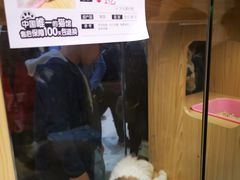 -屋虎猫馆(宝安大仟里店)