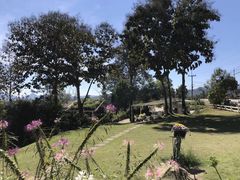 -黄色小屋