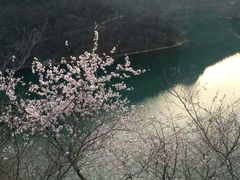 -青龙山生态文化旅游区(慈云寺)
