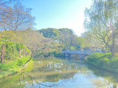 -红梅公园