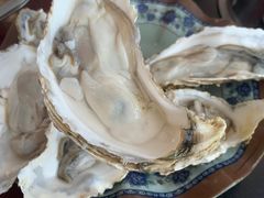 -冯姐生蚝(长隆横琴店)