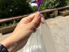 -萌萌牛紫米露(烟台大学店)