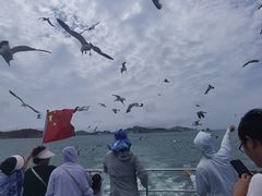-海驴岛(荣成市)