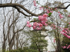 -扬州市茱萸湾风景区