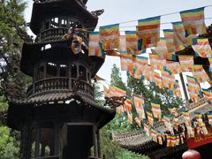-兴教寺