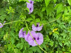 -东山湖温泉度假村