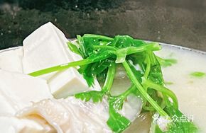 Fish Head and Tofu Soup with Coriander