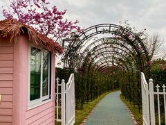 -福建鲤鱼洲酒店