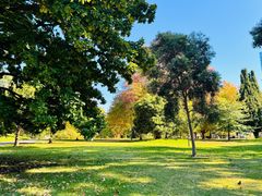 -墨尔本皇家植物园