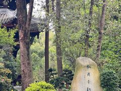 -成都杜甫草堂博物馆