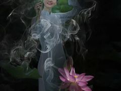 -白洋淀景区