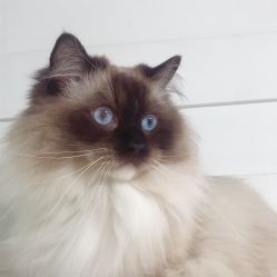 -吾行DIY手工坊(壹方北馆店)