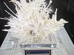 -中国地质大学逸夫博物馆