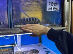 -富来美食(成发大厦店)
