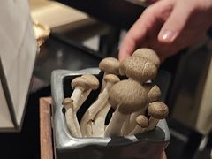 -松鹤精致料理(五一中路店)