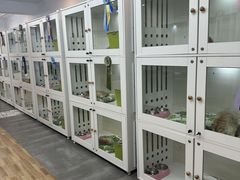 -青奢宠物·青奢猫舍