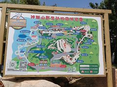 -西霞口神雕山野生动物世界