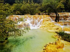 -黄龙山原始森林景区