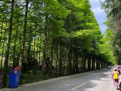 -山王坪喀斯特国家生态公园