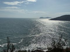 -广东惠东海龟国家级自然保护区