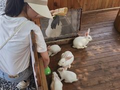 -HERRE·FARM 赫尔露营农场·团建聚会包场