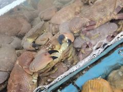 -龙溪海鲜酒家(溪涌店)