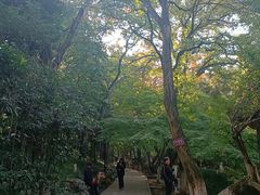 -虞山风景区