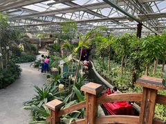 -南宫五洲植物乐园