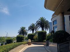 -舟山希尔顿酒店