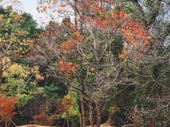 -乌山风景区