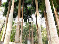 -深圳国际园林花卉博览园