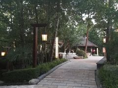 -天目湖涵田半山温泉