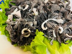 -协顺园回头馆(南顺城路店)