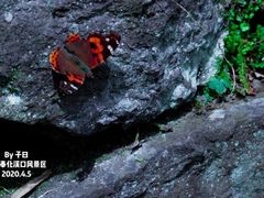 -溪口-滕头旅游景区