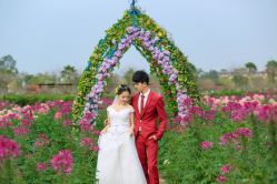 -1986婚纱摄影(清城店)