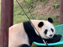 -杭州野生动物世界