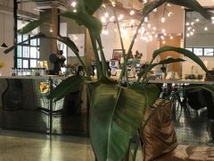-Nectar One Cafe(勇烈路n1店)