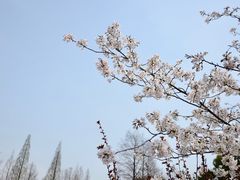-苏州上方山国家森林公园